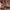 https://res.cloudinary.com/billionhands/image/upload/v1775333823/items/xcfodb2lbevt1moie2vi.webp-2cover