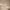 https://res.cloudinary.com/billionhands/image/upload/v1775333873/items/ubstsp1ip7ftafvhzgnz.jpg-0cover