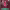 https://res.cloudinary.com/billionhands/image/upload/v1775333884/items/chm13r5fjyryda2kmprs.avif-3cover