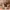 https://res.cloudinary.com/billionhands/image/upload/v1775333887/items/wz7uie5ofndjcylbiydz.jpg-3cover