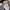 https://res.cloudinary.com/billionhands/image/upload/v1775333924/items/qggmpya75en4y63mcw84.avif-2cover