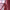 https://res.cloudinary.com/billionhands/image/upload/v1775334076/items/pctjruxrr6kvqhfkal9t.jpg-0cover