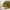 https://res.cloudinary.com/billionhands/image/upload/v1775334124/items/yp8g0h6ixkbwaczegbdx.webp-1cover