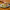 https://res.cloudinary.com/billionhands/image/upload/v1775334126/items/rmesg3vdrnhqx1pmtfid.jpg-3cover
