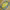 https://res.cloudinary.com/billionhands/image/upload/v1775334127/items/nxsqw79s340ynz30uwti.jpg-1cover