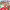 https://res.cloudinary.com/billionhands/image/upload/v1775334183/items/uwcuduc0ogrrqryms91u.jpg-3cover