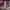 https://res.cloudinary.com/billionhands/image/upload/v1775334254/items/deznkwj33nph49v0hjln.jpg-0cover