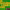 https://res.cloudinary.com/billionhands/image/upload/v1775334359/items/ek1wg0uv2dhogifm7wso.jpg-0cover