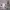 https://res.cloudinary.com/billionhands/image/upload/v1775334437/items/wwkxhomav40iklhz6iin.webp-1cover