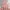 https://res.cloudinary.com/billionhands/image/upload/v1775334532/items/xwp3okdcvd7m5bfz5oqw.jpg-3cover