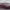 https://res.cloudinary.com/billionhands/image/upload/v1775334587/items/ulrprgao7q7thw7tpnyj.jpg-0cover