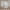https://res.cloudinary.com/billionhands/image/upload/v1775334632/items/vyvkqxqwtw03dkfxjwmy.webp-0cover