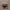 https://res.cloudinary.com/billionhands/image/upload/v1775334748/items/wpmgj7kworg4fjccxvda.jpg-3cover