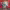 https://res.cloudinary.com/billionhands/image/upload/v1775335028/items/erttxcs0f0qzycmawnwz.png-3cover