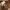 https://res.cloudinary.com/billionhands/image/upload/v1775335035/items/x5ojyzcm6x5nq924qrhh.jpg-2cover