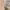 https://res.cloudinary.com/billionhands/image/upload/v1775335076/items/yyk2vrsd4l8mdddovlmr.webp-3cover