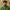 Mawaan Rizwan (Juice) cover