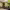 https://res.cloudinary.com/billionhands/image/upload/v1775335433/items/x38ek1knfvq5kugbmvls.jpg-1cover