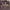 https://res.cloudinary.com/billionhands/image/upload/v1775335581/items/xrmh6gbkm8vair0sny4f.jpg-0cover