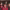 https://res.cloudinary.com/billionhands/image/upload/v1775335649/items/e83olpkmucce9dfhdn8w.jpg-3cover