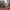 https://res.cloudinary.com/billionhands/image/upload/v1775335676/items/ovnvggn0cdqhu44eo3yz.jpg-2cover