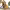 https://res.cloudinary.com/billionhands/image/upload/v1775335681/items/rfwy2ymqpifrmyq8t1na.png-1cover