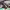https://res.cloudinary.com/billionhands/image/upload/v1775335683/items/zhrzvme0npv08f4gncpb.jpg-2cover