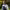 https://res.cloudinary.com/billionhands/image/upload/v1775335846/items/mhph45lpeco9v6sspoq0.jpg-3cover