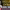 https://res.cloudinary.com/billionhands/image/upload/v1775335918/items/xvph7epqbbcgaeaqrjlv.jpg-3cover