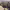 https://res.cloudinary.com/billionhands/image/upload/v1775335992/items/zq7a5wv7napdynfd4awm.jpg-2cover