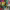 https://res.cloudinary.com/billionhands/image/upload/v1775336010/items/loaaz1tod30rnrmosm8v.jpg-0cover