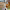 https://res.cloudinary.com/billionhands/image/upload/v1775336026/items/urr1jeed1ya82wq2ougf.webp-2cover
