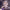 Chloe Yasuda (Grey's Anatomy) (2024) cover