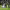 https://res.cloudinary.com/billionhands/image/upload/v1775336266/items/ic2rwjf7jczaf38fyqce.jpg-1cover