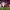 Girona FC 2-1 Real Madrid (La Liga 2017/2018) cover