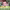 https://res.cloudinary.com/billionhands/image/upload/v1775336267/items/gfidj8k88ktuufboa44u.jpg-2cover