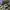 https://res.cloudinary.com/billionhands/image/upload/v1775336286/items/soda23zpmurwuzmatydk.webp-0cover