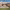 https://res.cloudinary.com/billionhands/image/upload/v1775336456/items/nuflev0nrcov9oi22ydl.jpg-0cover