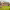 https://res.cloudinary.com/billionhands/image/upload/v1775336458/items/pyfgrckyvjo4poqufhzz.avif-3cover