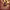 https://res.cloudinary.com/billionhands/image/upload/v1775336556/items/avuspndzlbzbw2gffons.jpg-0cover