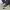 https://res.cloudinary.com/billionhands/image/upload/v1775336569/items/dvba92gzx4iradgbzrts.webp-2cover