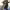 https://res.cloudinary.com/billionhands/image/upload/v1775336577/items/vua4jcj3npqxvvncdlk7.jpg-0cover