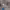 https://res.cloudinary.com/billionhands/image/upload/v1775336580/items/dte9hx5law69weiqvphv.jpg-3cover