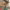 https://res.cloudinary.com/billionhands/image/upload/v1775336580/items/mu0ejevmipbbelculai5.webp-3cover