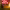 https://res.cloudinary.com/billionhands/image/upload/v1775336593/items/et0ofksgdkyvlrj10gqv.jpg-1cover