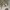 https://res.cloudinary.com/billionhands/image/upload/v1775336624/items/nffz4g6jpagciiqbsz5c.jpg-2cover
