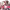 https://res.cloudinary.com/billionhands/image/upload/v1775336670/items/vs2icioa77busu7kferi.webp-2cover