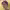 https://res.cloudinary.com/billionhands/image/upload/v1775336691/items/cvtjoarpxzyhulqoyjo1.jpg-0cover
