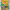 https://res.cloudinary.com/billionhands/image/upload/v1775336963/items/trc8d69oxeycxvc1tg3v.webp-3cover