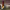 https://res.cloudinary.com/billionhands/image/upload/v1775337112/items/zf1c0fgo7r46kf924lah.jpg-3cover